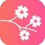桃花相機(jī)免費(fèi)