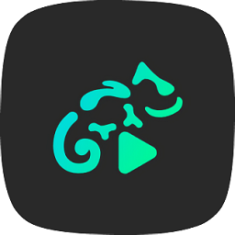 蜥蜴音樂播放器