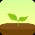 Forest專注森林最新版